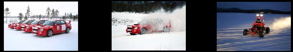 Ice Driving