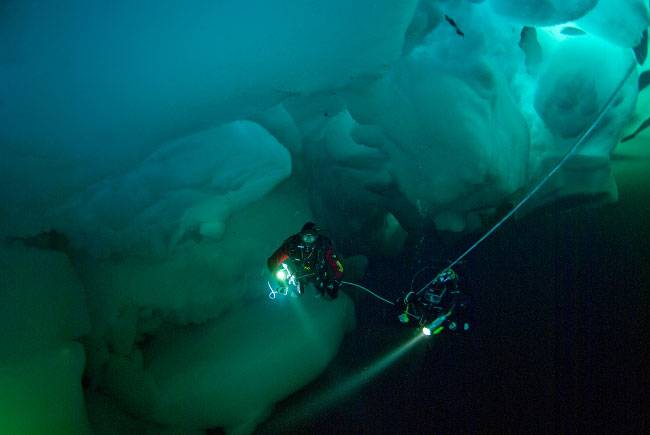 Under the Ice