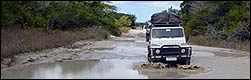 Jeep Safari