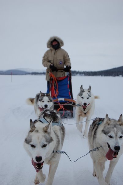 Husky Sledging
